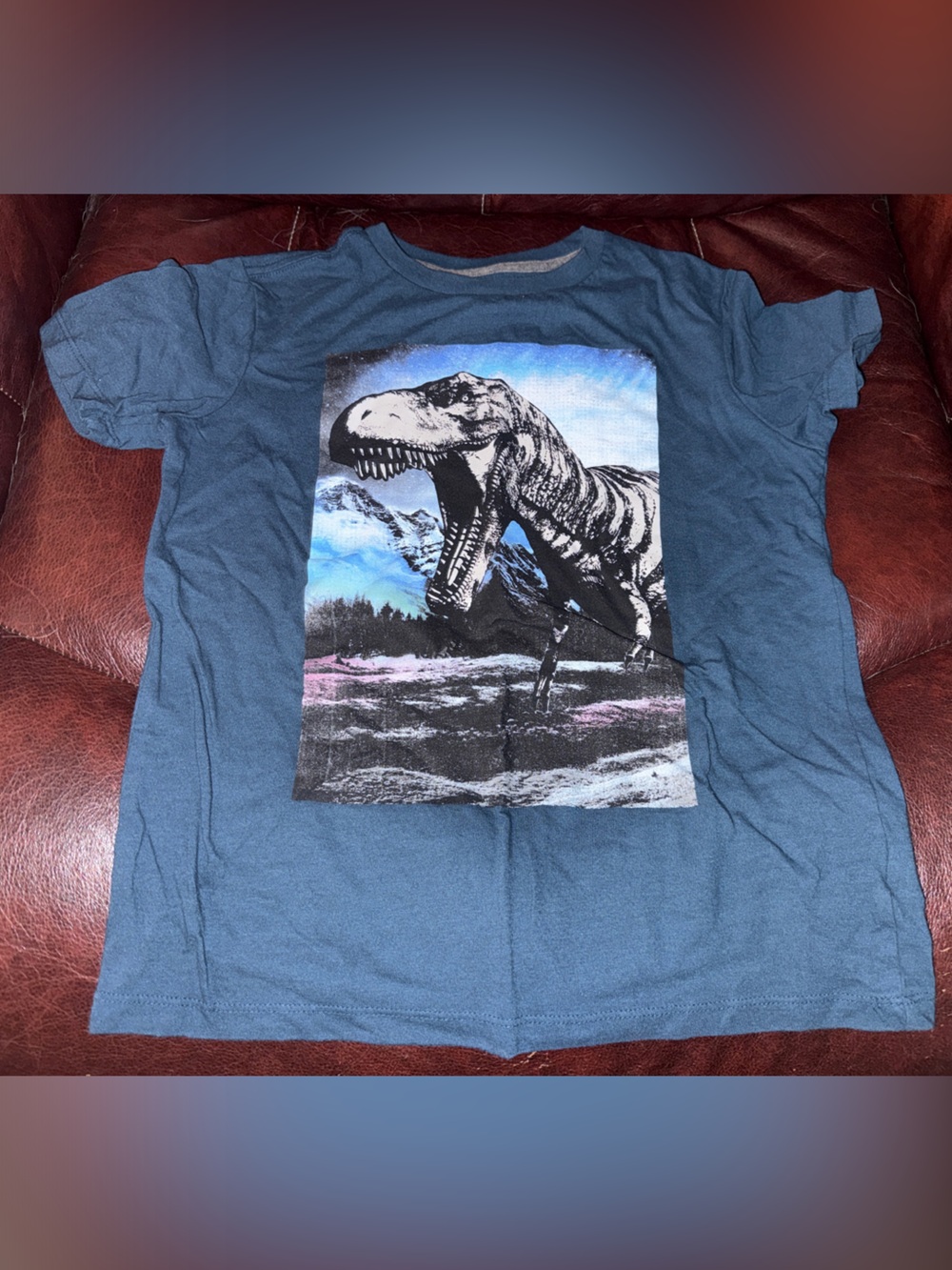 Kids Old Navy Blue Graphic Dinosaur Tee - Men